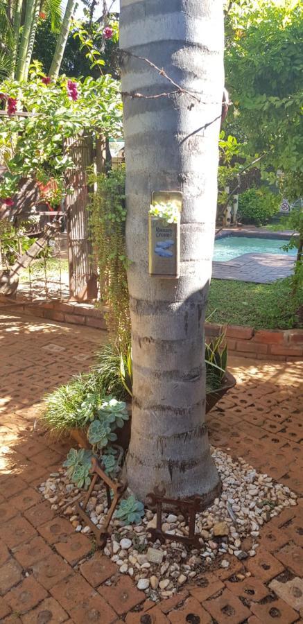 Africas Eden Guesthouse Mookgophong Экстерьер фото